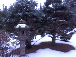 2011-12-27_japanesegardencwu2