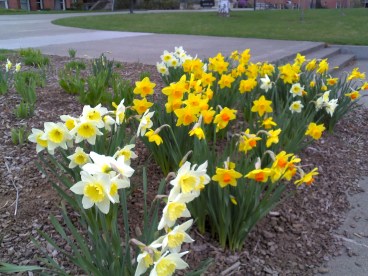 Irish eyes are smiling, and spring is on the way!