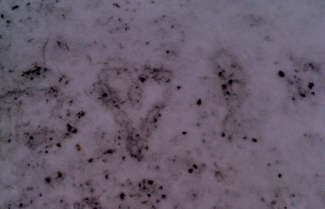 Heart in snow