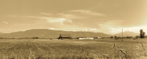 Sepia tone photo of a field and barn.