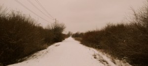 Photo of a snowy rural road